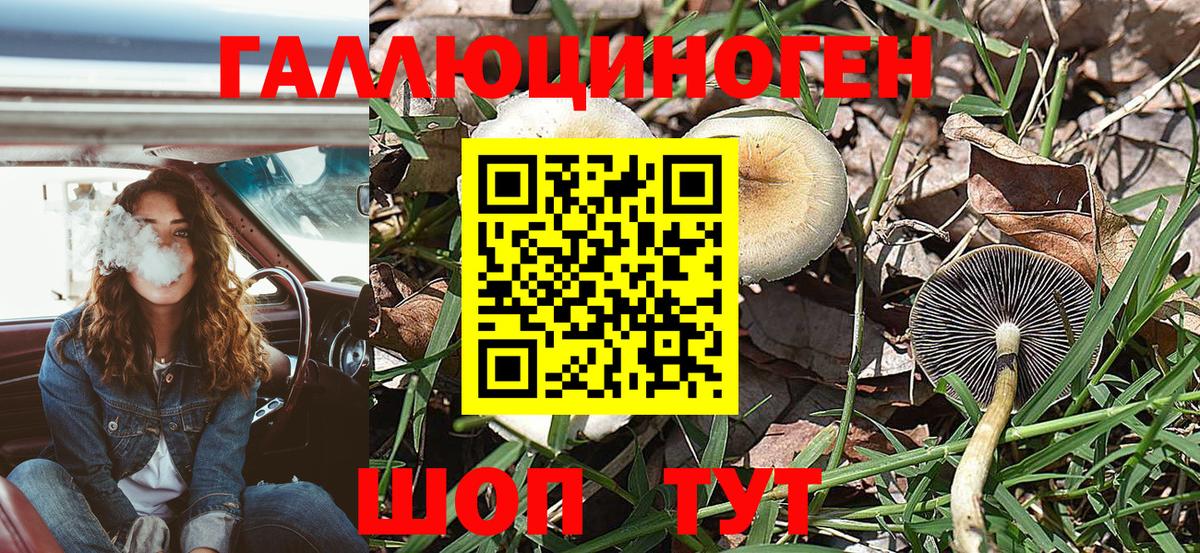 Галлюциногенные грибы Magic Shrooms Озёрск